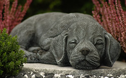 AnaParra Gartenfigur Hund Yorkshire Aus Beton – 23 X 26 Cm, Wetterfest, Für Garten, Terrasse Oder Wohnung