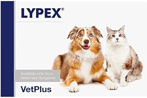 Vetplus Lypex Blister con 60 Comprimidos