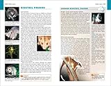 Image de Lonely Planet Watching Wildlife: Australia