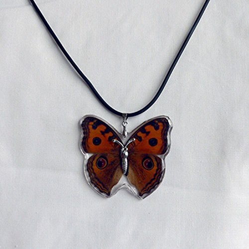 Buy Real Insect Butterfly Necklace 