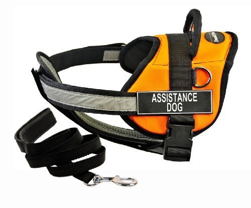 Dean-Tylers-DT-Works-Orange-ASSISTANCE-DOG-Harness-with-Chest-Padding-Large-and-Black-6-ft-Padded-Puppy-Leash