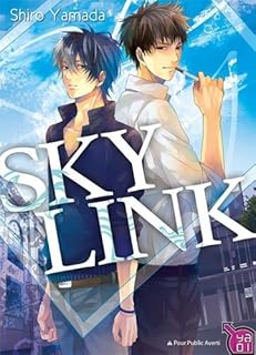 jaquette livre Sky Link