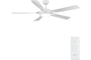 Newday Ventilatore da Soffitto Bianco, 142cm Ventilatore da Soffitto con Luce e Telecomando Silenzioso, Pala Soffitto con Luce Dimmerabile, Ventola Soffitto Grande con 5 Pale, Funzione Memoria