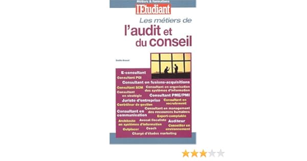 Amazonfr Les Métiers De Laudit Et Du Conseil Emilie - 