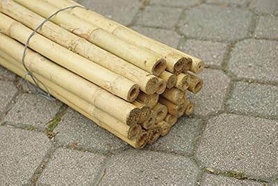 FERRITALIA Lot de 25 cannes de bambou pour potager, 210 cm