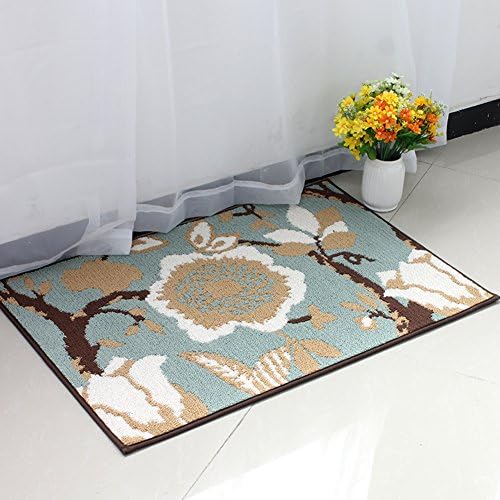Carpet Doormat Door mats Household rubbing pad Living room [hall] Entry Hand wash Floor mats- 60x90cm(24x35inch)