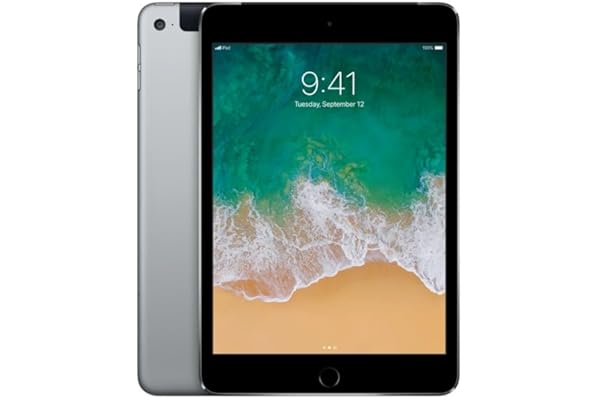 Apple iPad Mini 4 64GB Wi-Fi - Gris Espacial (Reacondicionado)