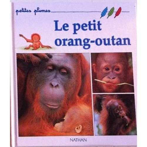 couverture de : Petit orang-outan (Le)