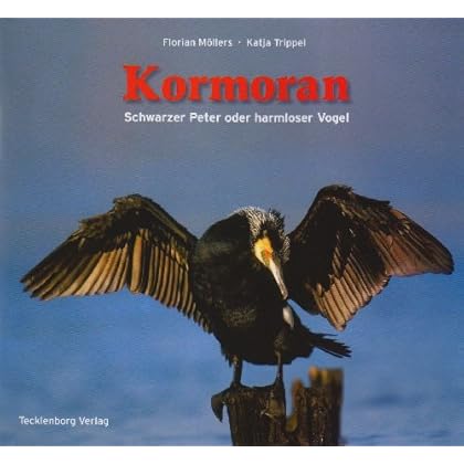 Kormoran