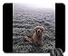 Produktbild Mauspads - Hundegoldenes Retriver Hundeporträt-Schönheit golden