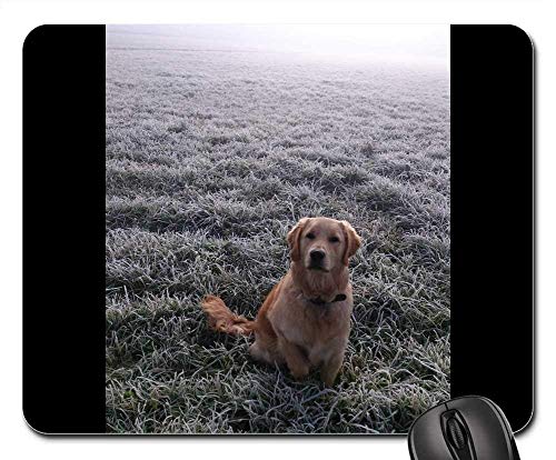 Preisvergleich Produktbild Mauspads - Hundegoldenes Retriver Hundeporträt-Schönheit golden