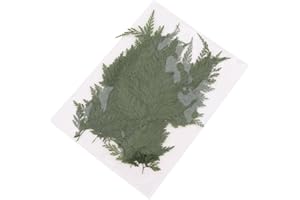 zalati 50 szt. Wysuszone sprasowane liście do rzemiosła sztuka suszonej zieleni DIY ręcznie robione zakładki żywica mydło świeca papier do dekoracji dekoracji