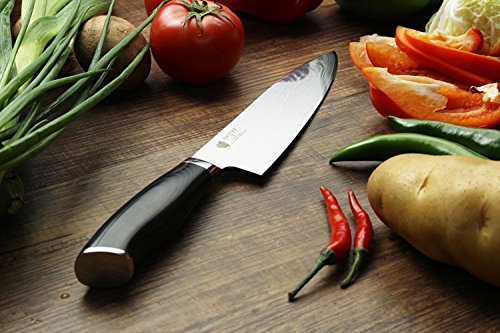 SWITYF VG-10 Hochwertige Japanische Stahl-Kochmesser ist ein Spezialmesser Das 205mm lang und mit hohen Kohlenstoffgehalt ist Das Micarta Handgriff wurde mit Verbundwerkstoff ergonimisch entwickelt Das Damaskus-Muster ist Wunderschön DDCK-TK - 4
