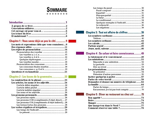 Book's Cover of Le Chti pour les Nuls Guide de conversation, 2e édition