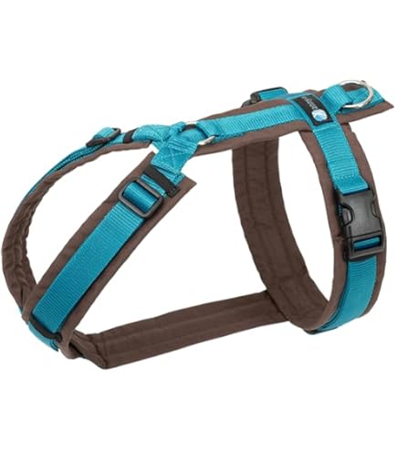Anny-x Brustgeschirr Fun – Vollgepolstertes Hundegeschirr, Größe XS, Halsumfang 22-36 Cm, Brustumfang 43-52 Cm