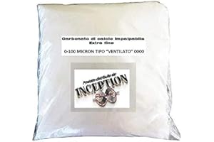 INCEPTION PRO INFINITE Carbonato Di Calcio 0 - 100 Micron - Polvere Di Marmo Caco3 - Inerte Per Resina E Gessi - Utile Al Ph Del Terreno - Arte - Artigianato - Ceramica - idea regalo - 1Kg - Finissimo Impalpabile