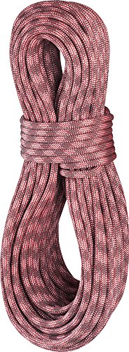 Preisvergleich Produktbild Edelrid Seil Python 10.0 Kletterseil