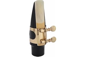 DILWE Sax Mouthpiece kit, Tenor Sax Saxophone ABS Mouthpiece with Cap Metal Buckle Reed Pads Musical Instruments Wind Instrument Accessories