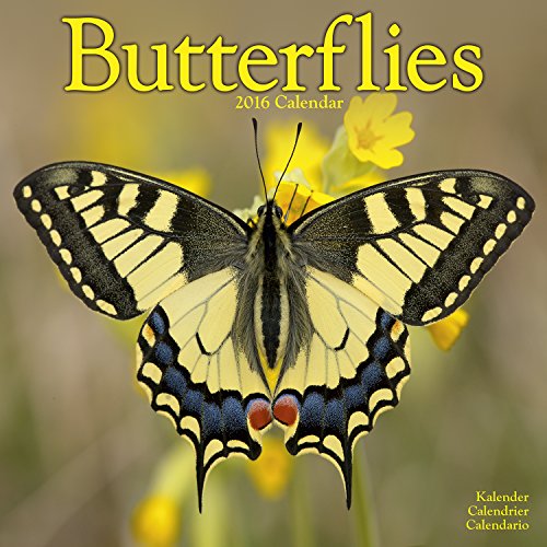 Download BUTTERFLIES 2016 Wall Calendar
