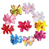 Pinzas para el pelo de 10 colores para orquídeas: El clip para orquídeas se puede enganchar en el cabello, cinturones, sombreros, bolsos, diademas, camisas, abrigos delgados y vestidos.