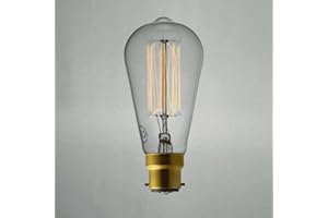 SWAN LIGHTBULBS SWAN Squirrel CAGE Edison Lightbulb 240V 40W B22D
