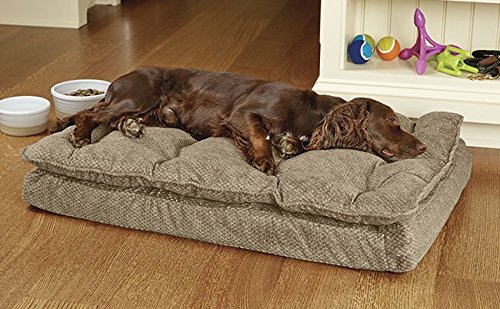 Orvis-Pillow-topped-Dream-Lounger-With-Memory-Foam-Small-Dogs-Up-To-40-Lbs