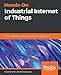 Hands-On Industrial Internet of Things: Create a powerful Industrial IoT infrastructure using Industry 4.0 (English Edition) by