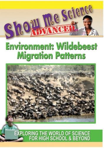 Preisvergleich Produktbild Environment: Wildebeest Migration Patterns
