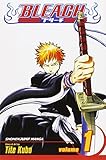 Bleach Volume 1 by