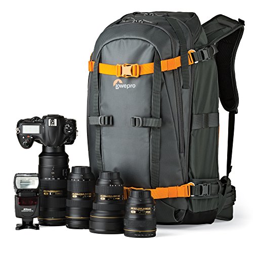 Lowepro Whistler BP 450 Backpack for Camera - Grey
