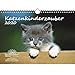 Produktbild Katzenkinderzauber DIN A4 Kalender 2020 Katzenkinder Katzenbabys - Seelenzauber