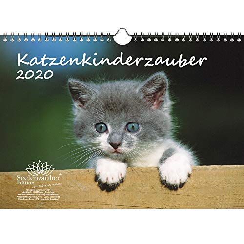 Preisvergleich Produktbild Katzenkinderzauber DIN A4 Kalender 2020 Katzenkinder Katzenbabys - Seelenzauber