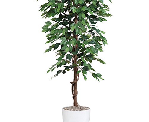 Kunstbaum 200cm Ficus Benjamini grün mit 2064 Blätter aus Textilfaser Material - 4