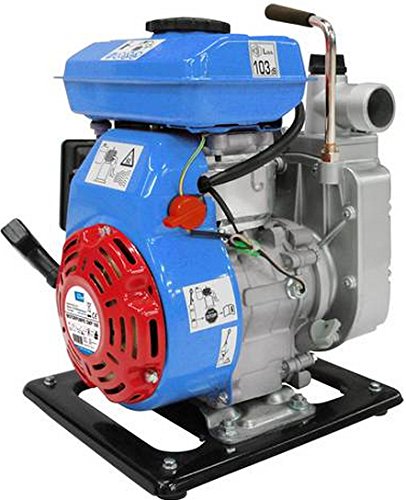 94253 GMP 100 Motorpumpe