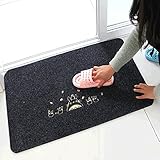 Fußmatte, Homecube Fußabtreter Abtreter Schmutzmatte...