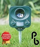 PestBye Répulsif Chats Solaire