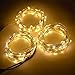 Produktbild XGUO 3x100 LED 10 Meter Lichterkette Wasserfest String DC 12V silberne Linie Beleuchtung Ambiente für Außen Landschaft, Terrasse, Garten, Schlafzimmer, Camping, Weihnachtsfest, Hochzeit--Warmweiß