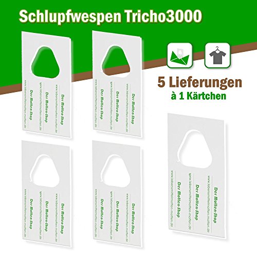 Schlupfwespen gegen Kleidermotten 3000 Stück x 5 Lieferungen
