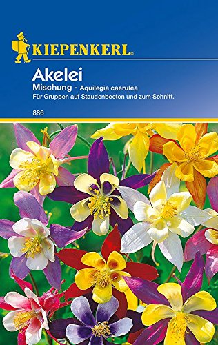 Sonstige mehrjährige Blumen: Akelei-Mischung, Aquilegia x caerulea - 1 Portion