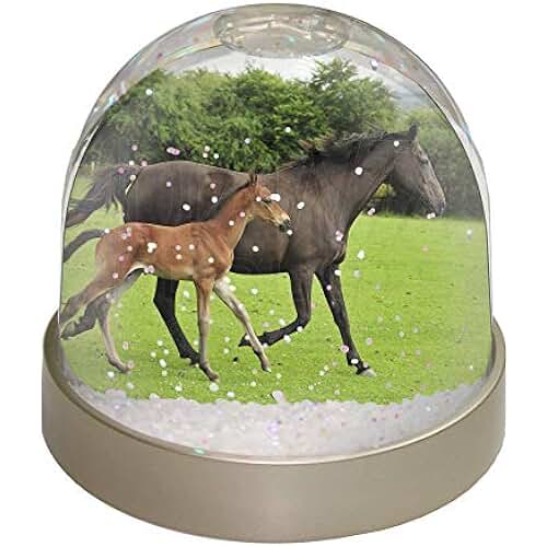 Suchergebnis auf Amazon.de für: schneekugel pferd