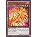 Price comparison product image YuGiOh : SDBE-EN012 1st Ed Divine Dragon Apocralyph Common Card - ( Saga of Blue-Eyes White Dragon Yu-Gi-Oh! Single Card )