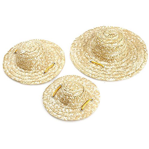 Pet Dog Cat Vintage Farmer Cute Chinese Straw Hat Lovely