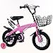 Produktbild DWW-Kinderfahrrad Kinderfahrrad Anti-Rutsch-Stoßdämpfung Flash Assist Rad High-Kohlenstoffstahl hohe Qualität Bremssystem Kinderfahrrad Kinderfahrrad ( Farbe : Pink , größe : 14inch )