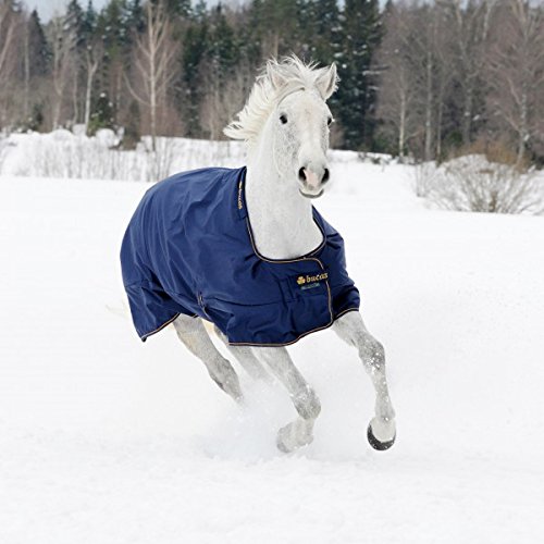 Preisvergleich Produktbild Bucas Irish Turnout Extra 300g