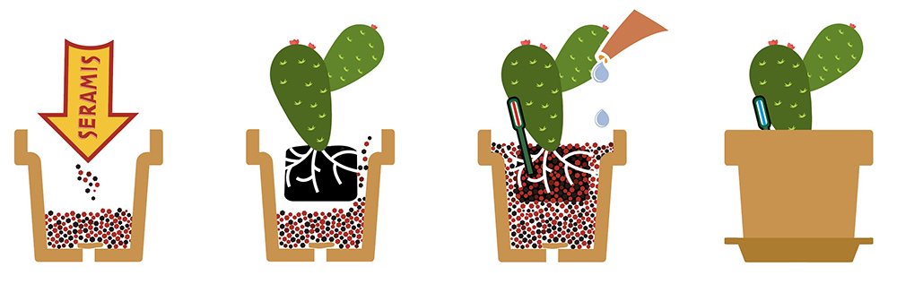 Seramis Spezial-Substrat für Kakteen und Sukkulenten, 7 l – Pflanzen Tongranulat, Kakteenerde Ersatz zur Wasser- und Nährstoffspeicherung, Rotbraun – Bild 5