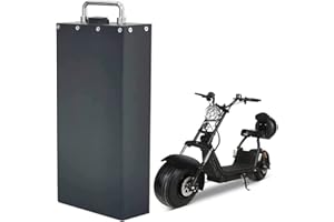 ZHIKAN Batería de Iones de Litio de 60V 15AH/60V 20AH para el Scooter eléctrico de Dos Ruedas con BMS y Cargador