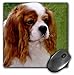 Price comparison product image 3dRose mp_980_1 8 x 8-Inch Cavalier King Charles Spaniels Mouse Pad