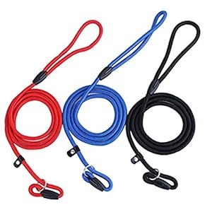 Doitsa – 3 cadenas para perros, correa de nailon, correas para perros, suministros para mascotas, 3 colores