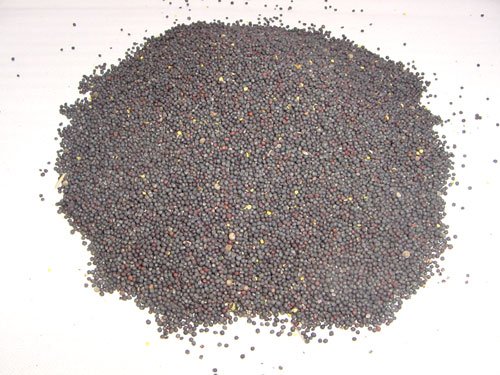 Friedburg-Kissen Augenkissen mit Raps