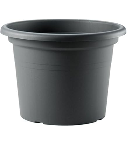 Vaso Per Piante Toscana Con Sottovaso – Diametro 17 Cm, Altezza 16,5 Cm – Colore Bianco – Plastica Resistente UV Con Fori Di Drenaggio